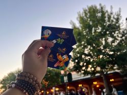 -翱翔飞越地平线