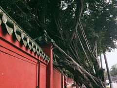 -文昌邓记清补凉(西沙路店)