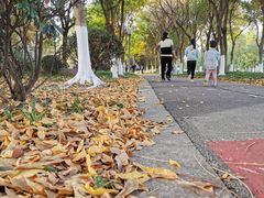 -尚贤河湿地