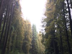 -山王坪喀斯特国家生态公园