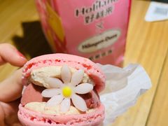 -好利来(温江合生汇店)