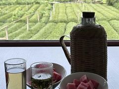 -龙坞茶村