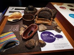 -墨尔本博物馆(Melbourne Museum)