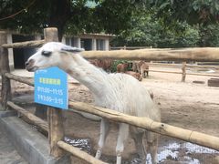 -西安秦岭野生动物园