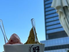 -野人牧坊Gelato(苏州中心店)