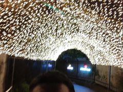 -南湖梦幻岛