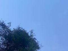 -楠柏弯休闲山庄(梨花溪店)