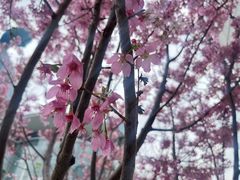 -LV路易威登(国际广场店)