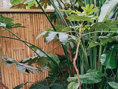 -金稼园·金平湖农家菜
