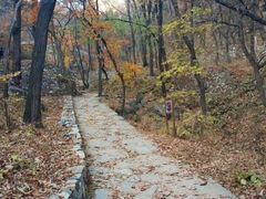 -北京上方山国家森林公园