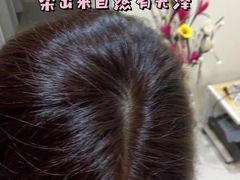 -新濠天地