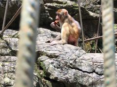 -阿依河景区