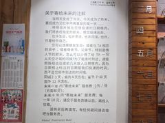 -猫的天空之城概念书店(丽江古城饮玉巷店)