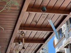 -溪岸路花鸟市场