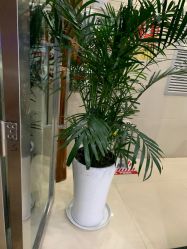 -云南吴氏嘉美医疗美容医院