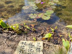 -四海公园(南山区)
