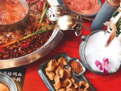 -谭鸭血老火锅(漳州路店)