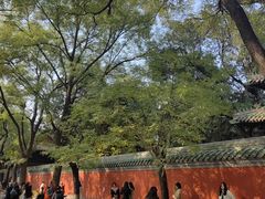 -北京国子监胡同