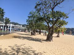 -大梅沙海滨公园