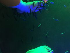 -宝丽金大酒店·洗浴中心