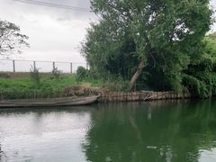 -莲花岛景区