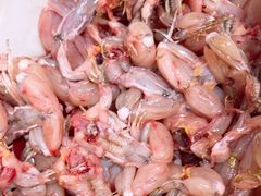 -三只鸟本地特色菜馆(上饶总店)