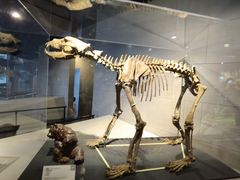 -北京周口店北京人遗址博物馆