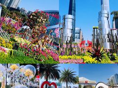 -海心沙亚运公园