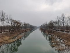 -东郊湿地公园