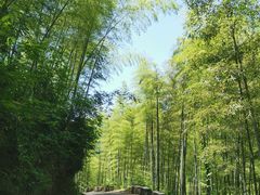 -白云源风景区
