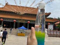 -普陀寺