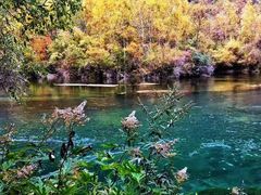 -叠溪松坪沟景区