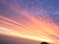 -神憩宾馆-餐厅