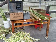 -召稼楼古镇