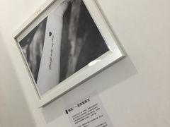-成都失恋馆