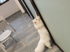 -宁波野生动物园