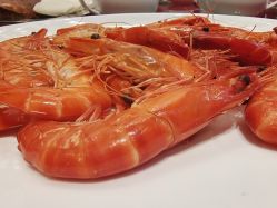 -喜爱轩酒楼·宴会厅