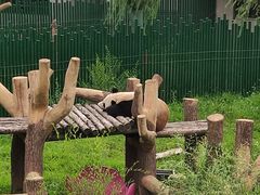 -沈阳森林动物园