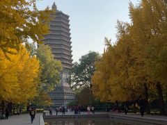 -玲珑塔公园