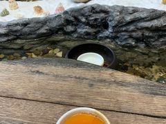 -菩提树下茶咖鼓捣