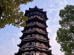 -洋湖国家湿地公园