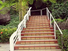 景点-厦门博饼民俗园