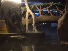 -裕龙汤泉