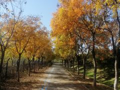 -永定河休闲森林公园