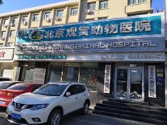 -北京观赏动物医院·24小时大型综合·猫专科·异宠专科