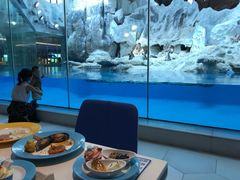 -帝企鹅自助餐厅•儿童岛•真企鹅(长隆企鹅酒店)