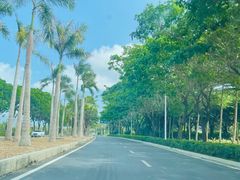 -后海村