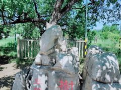 -御林古桑园
