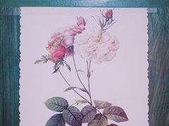 -The Flowers Coffee(南山店)