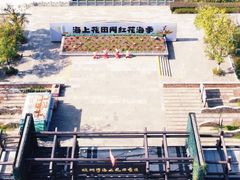 -杭州湾海上花田景区